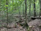 Anderson, Anderson County, SC Recreational Property, Hunting Property for sale