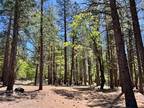 Genesee, Plumas County, CA Homesites for sale Property ID: 416815317