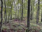 Plot For Sale In Masontown, West Virginia