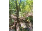 Plot For Sale In Mount Jackson, Virginia