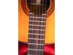 Vintage ARIA A555 CLASSICAL GUITAR, 1968 Made In Japan Beauty, Low Serial #