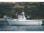 1990 Other Custom 28 Commercial Quality Workboat