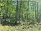 Plot For Sale In Ripley, West Virginia