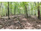 Plot For Sale In Madison Heights, Virginia