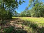 Plot For Sale In Varnville, South Carolina