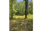 0 GEORGE SCHNOPP RD, Hinsdale, MA 01235 Land For Sale MLS# 240492