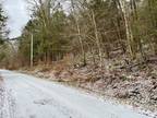 Plot For Sale In Downsville, New York