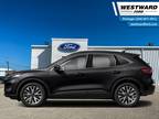 2021 Ford Escape Titanium AWD - Navigation - Premium Audio