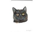 ACEO Original Watercolor Painting 2.5"x3.5" Black Kitty Cat Pet Portrait