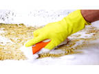 Business For Sale: Environmentally Responsible Cleaning