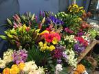 Business For Sale: Florist Business For Sale