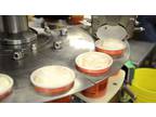 Business For Sale: National Brand Ice Cream Manufacturing Business