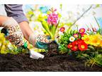 Business For Sale: Long Established Nursery Garden Center Business