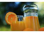 Business For Sale: Fresh & Organic Juice Bar For Sale