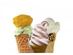 Business For Sale: Frozen Yogurt Franchise For Sale