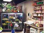 Business For Sale: Established Flower Shop - Great Opportunity