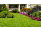 Business For Sale: Thriving Landscaping & Retail Garden Center