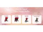 Business For Sale: Turnkey Theme Park Stroller Rental Business