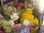 Business For Sale: Florist Shop In Busy Strip Center
