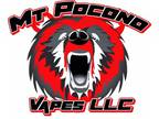 Business For Sale: Mt Pocono Vapes LLC