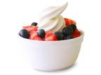 Business For Sale: National Frozen Yogurt Franchise For Sale