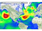 Business For Sale: Ocean Forecasting Service