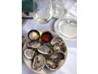 Business For Sale: Oysters & Premium Wine Bar
