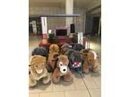 Business For Sale: Animal Ride In Mall