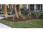 Business For Sale: Mulch Manufacturer And Installer