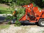 Business For Sale: Tree Service For Sale