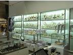 Business For Sale: Jewelry / Accessory Shop In Busy Mall