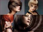 Business For Sale: High - End Hair Salon Upscale Neighborhood