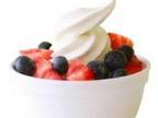 Business For Sale: High Volume Franchised Yogurt Store