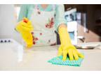 Business For Sale: Eco-Friendly Natural Cleaning Franchise