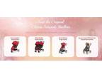 Business For Sale: Turnkey Theme Park Stroller Rental Business
