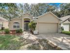 Tampa, Hillsborough County, FL House for sale Property ID: 417695514