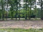 911 SPEARHEAD CIR, Clarkrange, TN 38553 Land For Rent MLS# 1243380