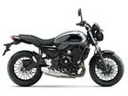 2023 Kawasaki Z650RS Metallic Moondust GrayEbony