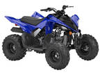 2024 Yamaha Raptor 110