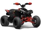 2024 Can-Am Renegade X Xc 110 EFI