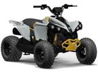 2024 Can-Am Renegade 70 EFI