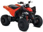 2024 Can-Am DS 250