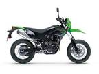 2023 Kawasaki KLX230SM