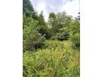 Plot For Sale In Buckhannon, West Virginia