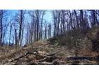 Hurricane, Putnam County, WV Undeveloped Land for sale Property ID: 416328943