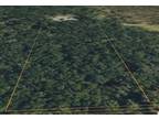 Anthony, Marion County, FL Undeveloped Land for sale Property ID: 418342523