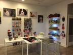 Business For Sale: Pampered Dog Grooming