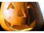 Business For Sale: High Profit, Seasonal Halloween Franchise