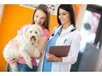Business For Sale: Small Animal Veterinary Clinic