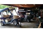 Business For Sale: Golf Cart Sales & Repairs